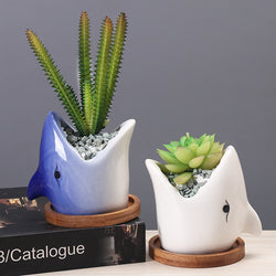 Cute ceramic succulent planter for indoor desk decor